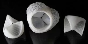 Heart valve 3D printed in Silicone