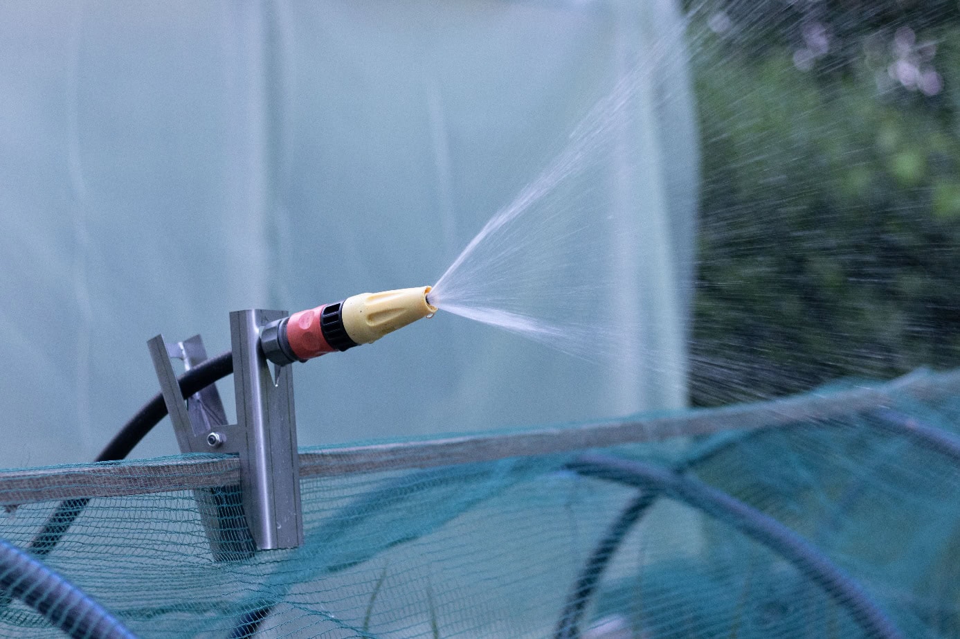Hose clip in usage